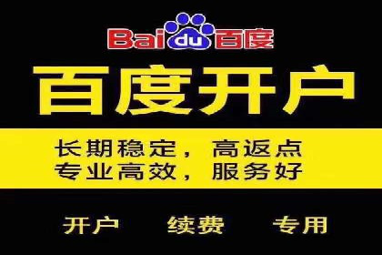 百度SEO推广实战案例：提升网站排名